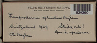 Image Associated With the Occurence